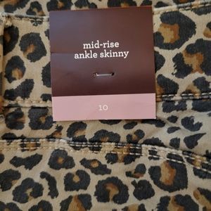 Ladies skinny pants